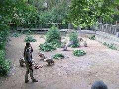 149 BIO PARC DE DOUE LA FONTAINE 4- 2016_000004